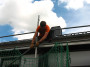 2013-06-14 Vereinshaus KN 012.jpg